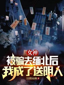 女神被骗去缅北后我成了送阴人