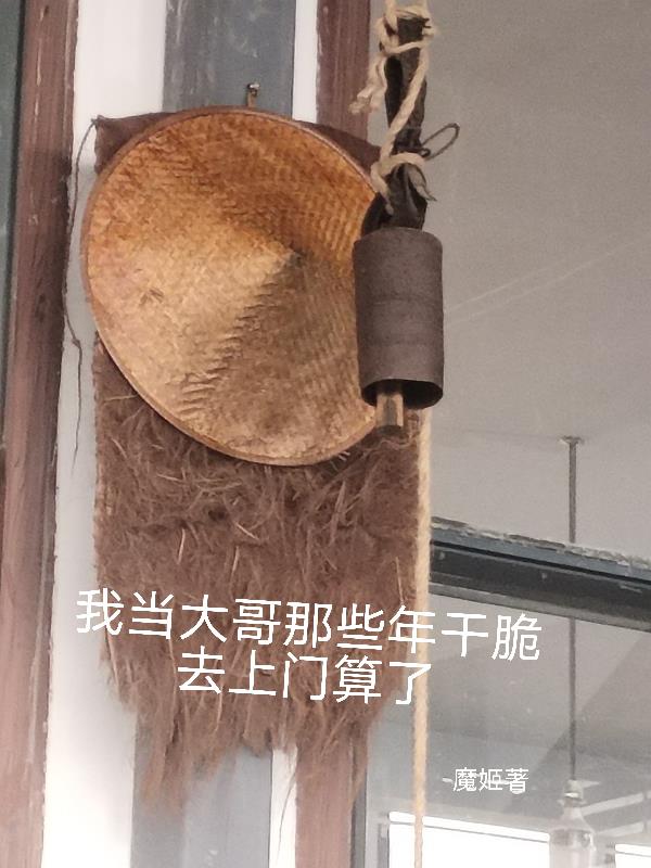 我当大哥的那些年干脆去上门算了